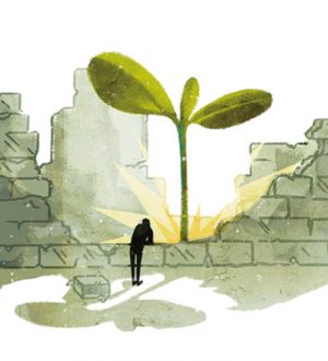 Экономика Южной Америки