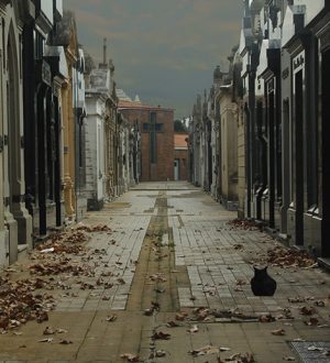 Кладбище Ла-Чакарита: «Обитель Печали — Истории Храм» 🙏